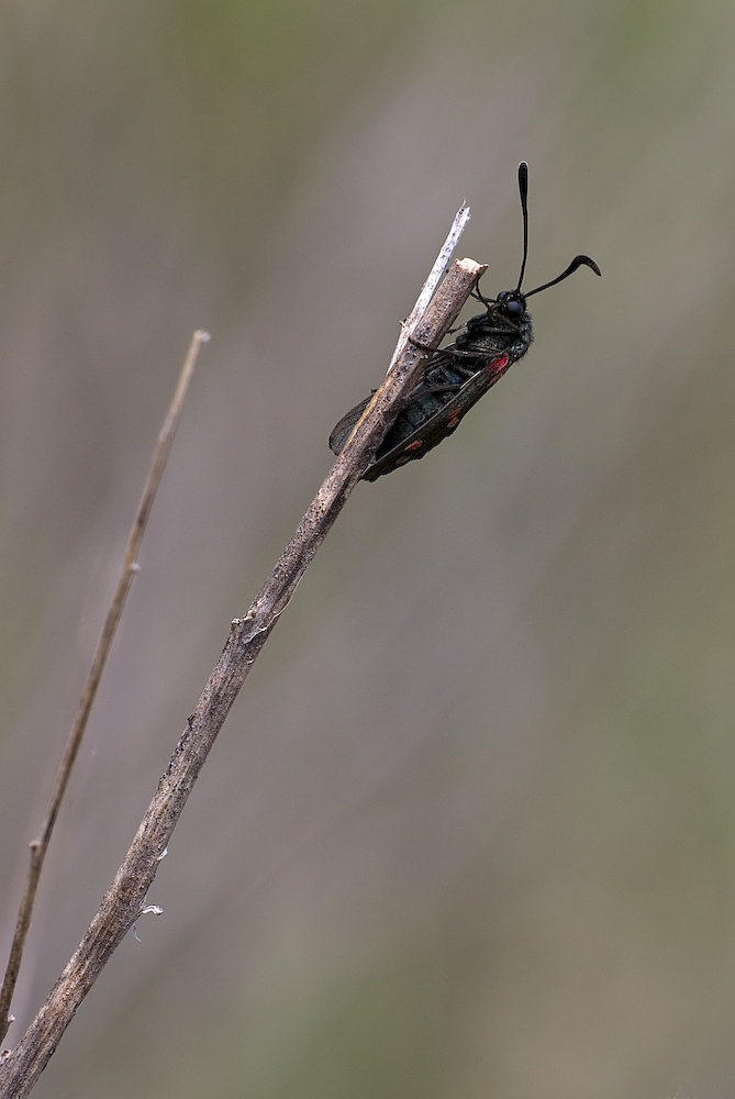 Alla fine della strada.. (dedicata agli amici di NONSOLOFOTO raduno UMBRO)