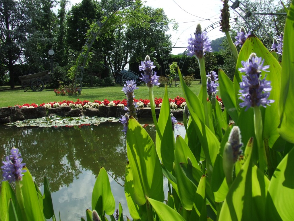 I Giardini di villa Baizini