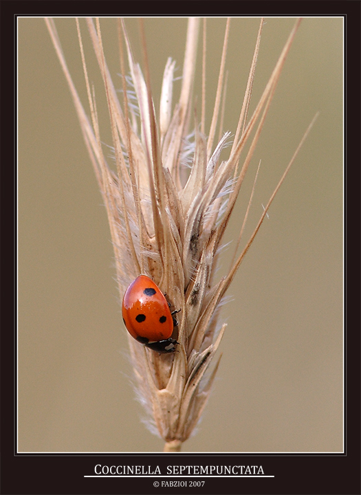 Il sorgere del sole....... RIFLESSO!
