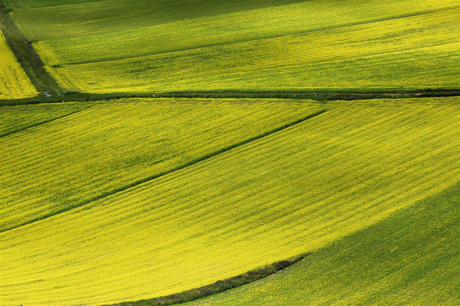 Geometrie in giallo (NonSoloFoto 16/17 giugno)