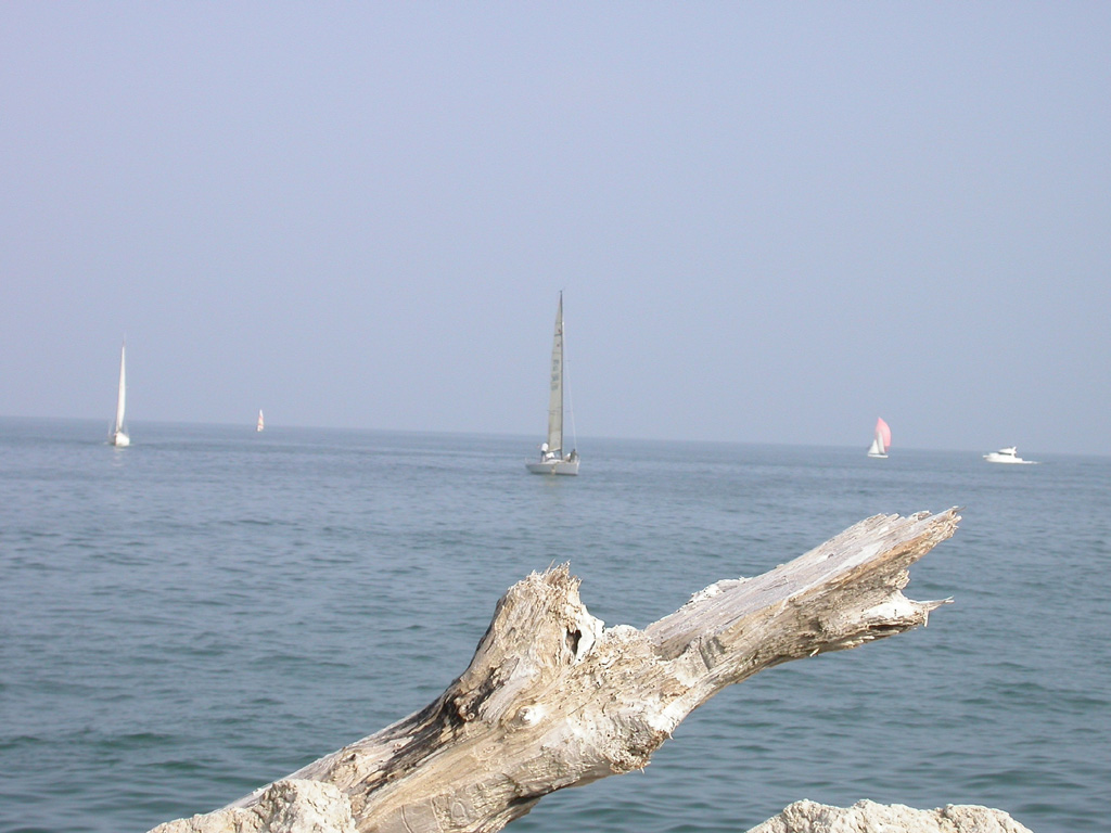 Cio che ci rende il mare.