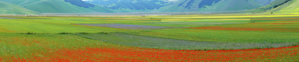 :NONSOLOFOTO: Piana di Castelluccio