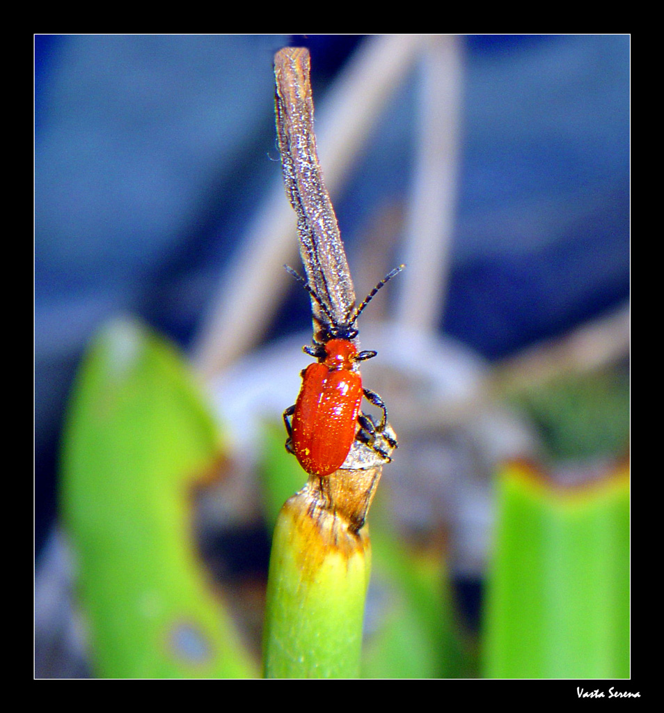 Ognuno ha i suoi Traguardi...