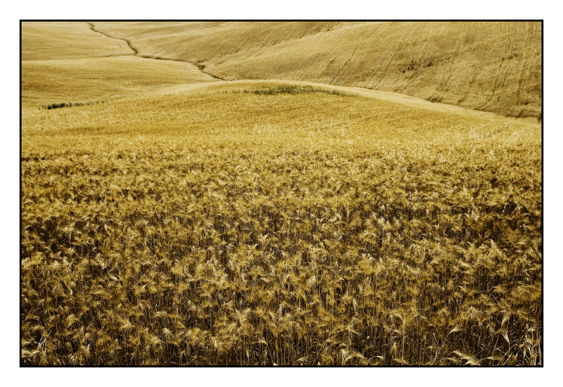 ....linea in giallo....