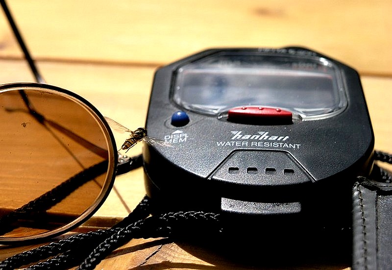 Uno sguardo al tempo