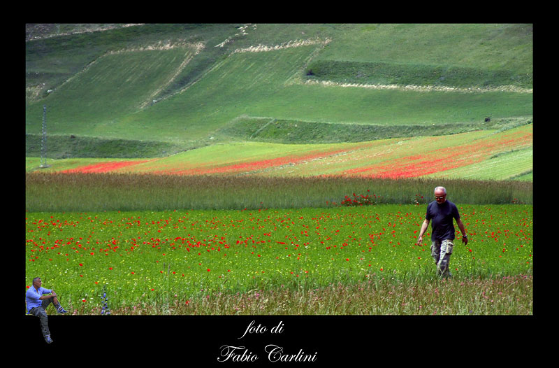 Castelluccio passeggiata di un amico (raduno Umbria)