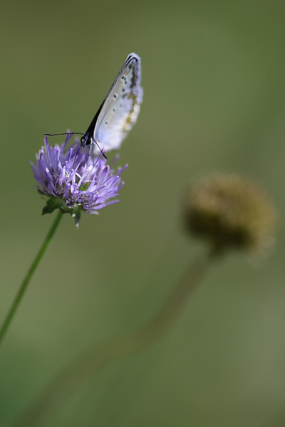 ...ora � solo un ricordo lontano...