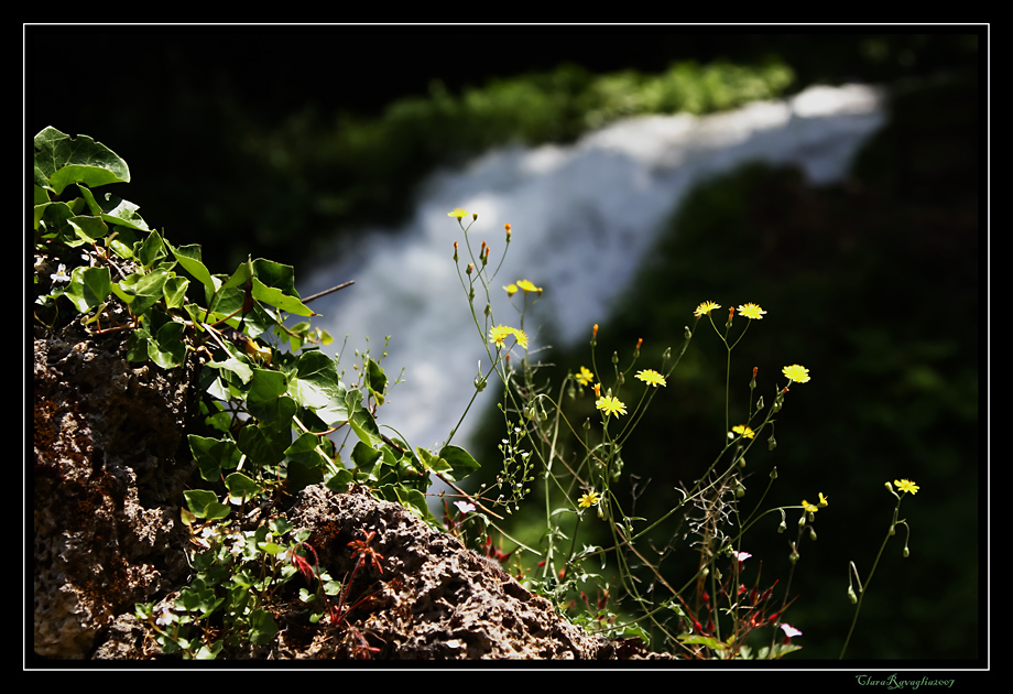 Freschi connubi.....all'ombra delle Marmore ( Raduno umbro)