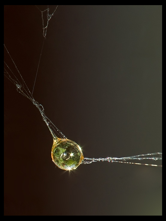 Una lacrima sul filo