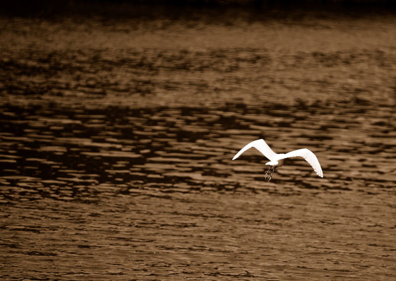 Contrasto sull'acqua