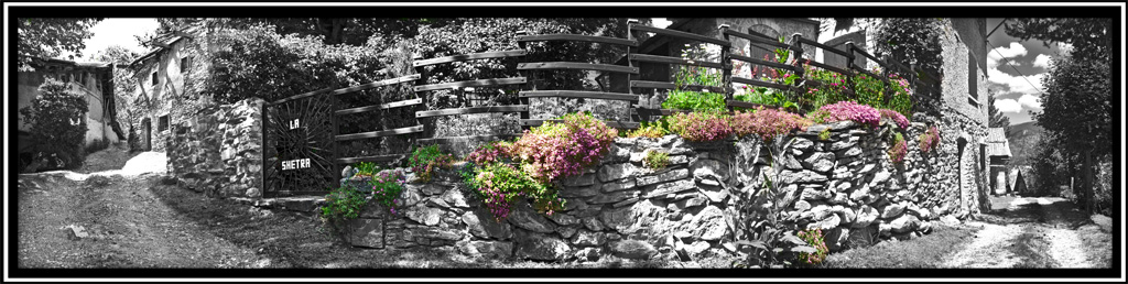 paesello...tra strada e fiori, nero e colori