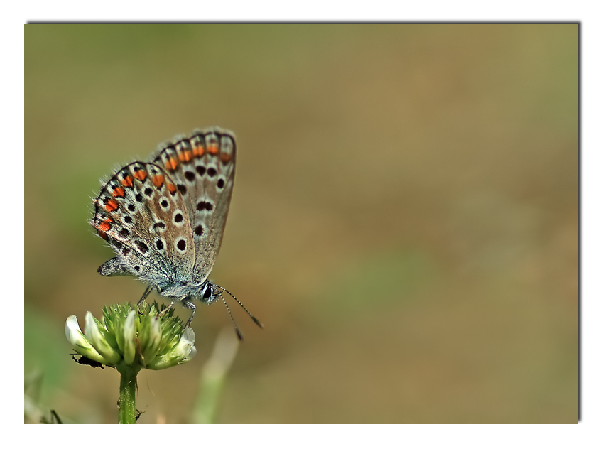 ci incontriamo.... finalmente!!!!
