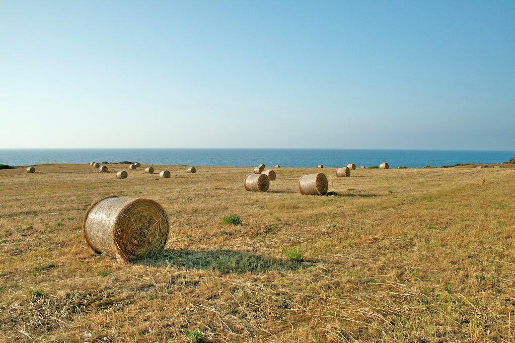 Rotoballe sul mare #2 (Punta Tramontana - Giugno 2007)