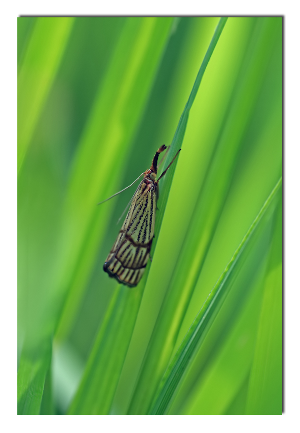 Da una angolazione diversa