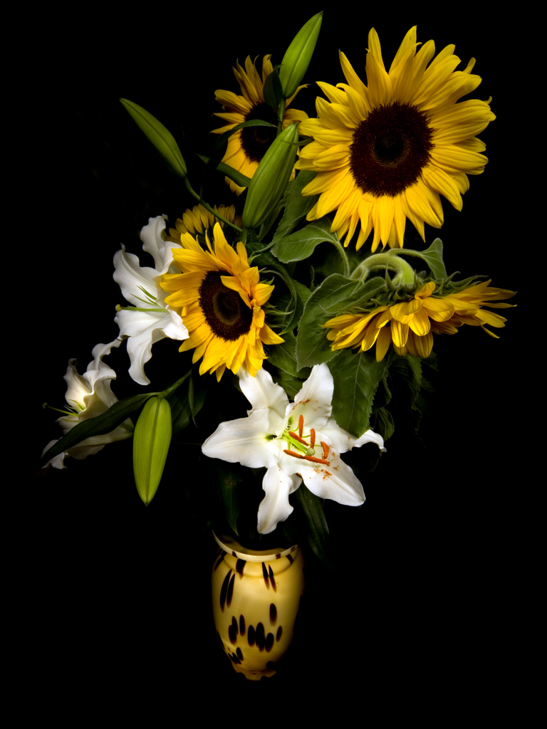 esplosione fioreale in notturna