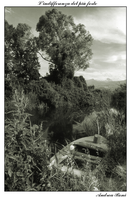 L'indifferenza del pi� forte