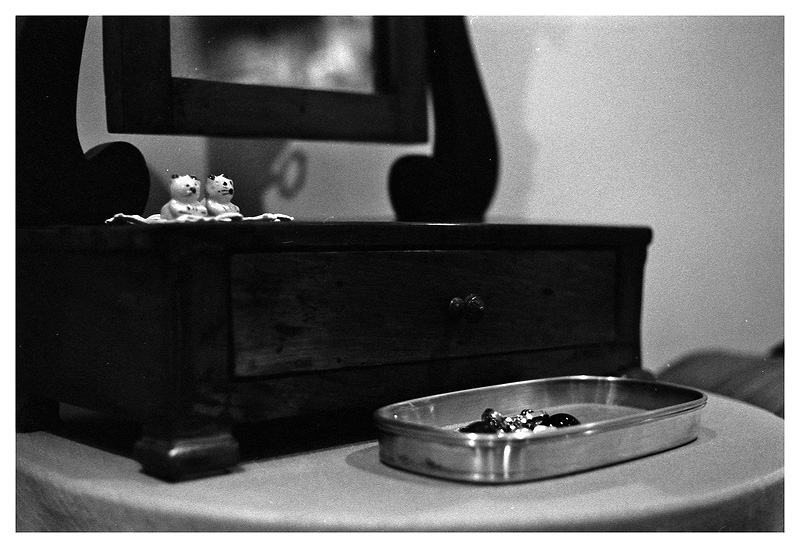 Gattini di porcellana