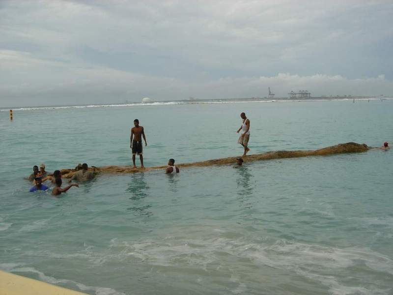 haitiani alla deriva