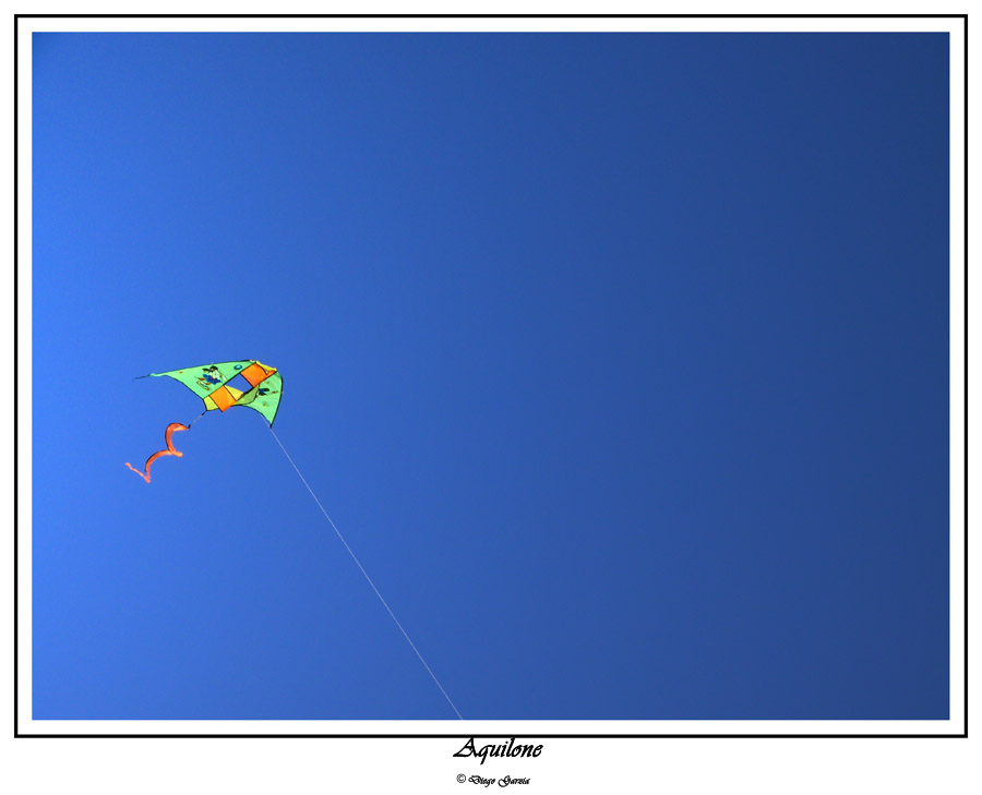 Aquilone