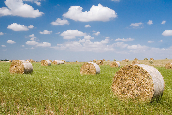 BALLE di fieno...un classico