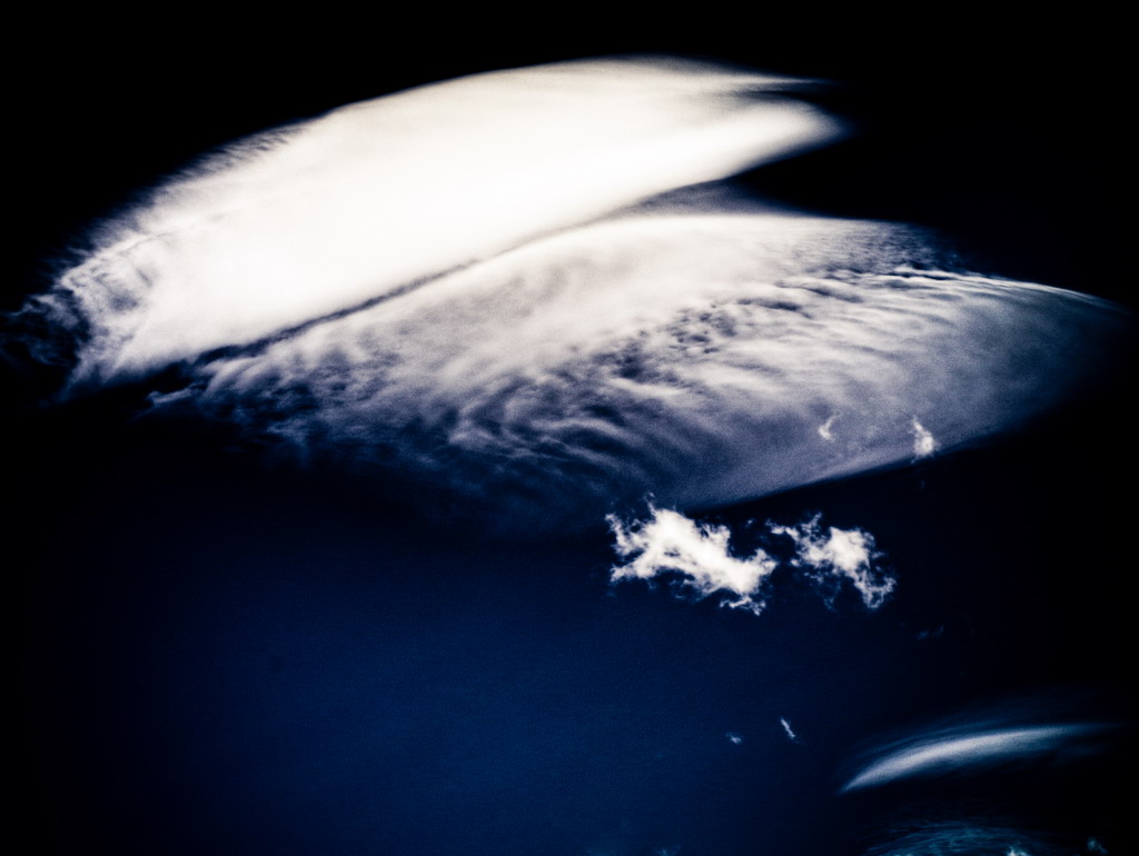 * osso di seppia/2 *