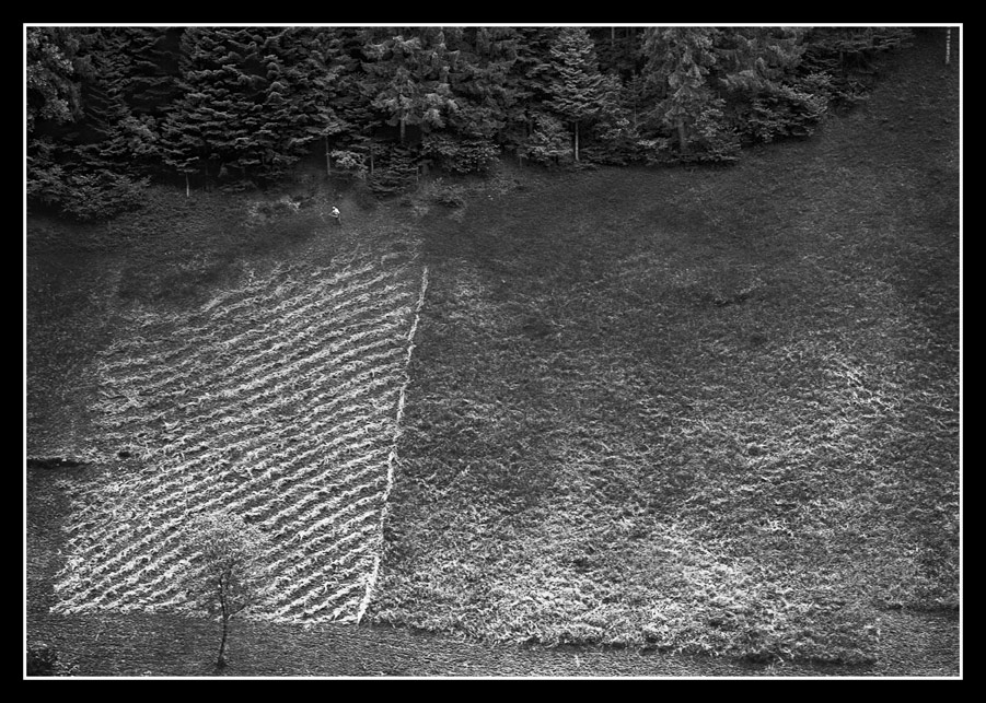Il duro lavoro in montagna