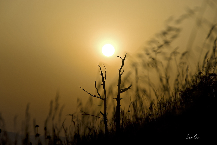 Non Credevo ai miei occhi!!!