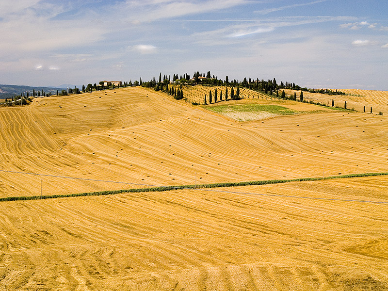 Crete Senesi #1