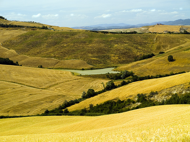 Crete Senesi #3