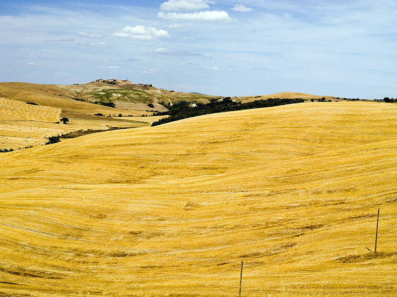 Crete Senesi #4