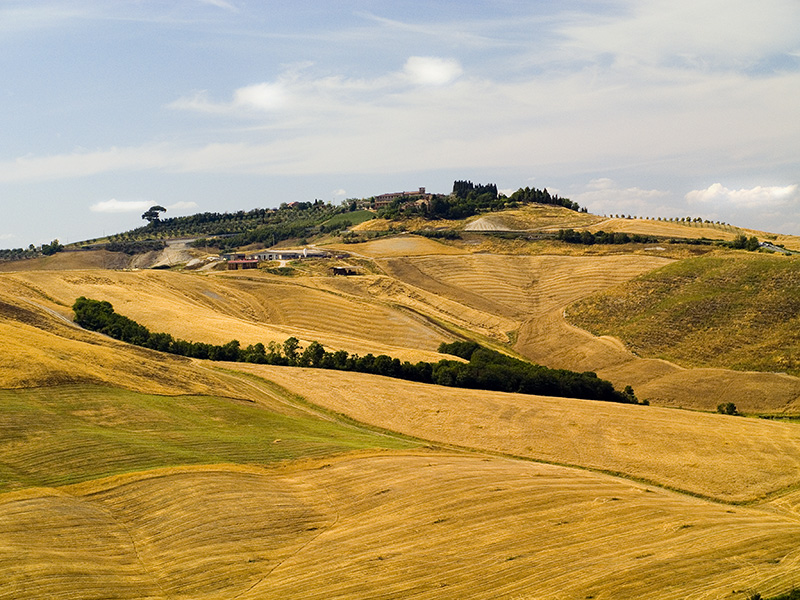 Crete Senesi #5