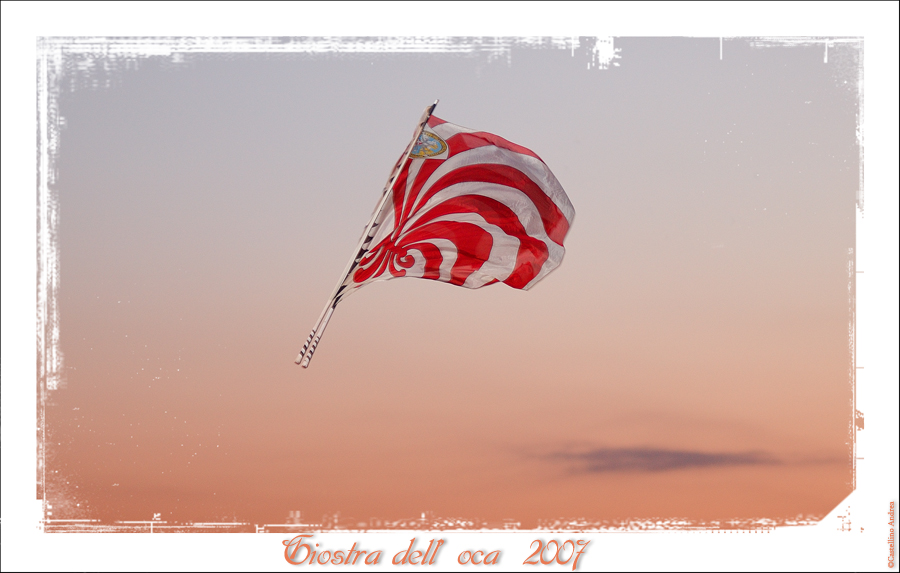 giostra dell' oca 2007