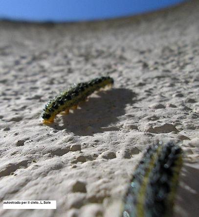 autostrada per il cielo