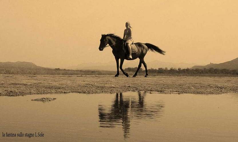 la fantina sullo stagno