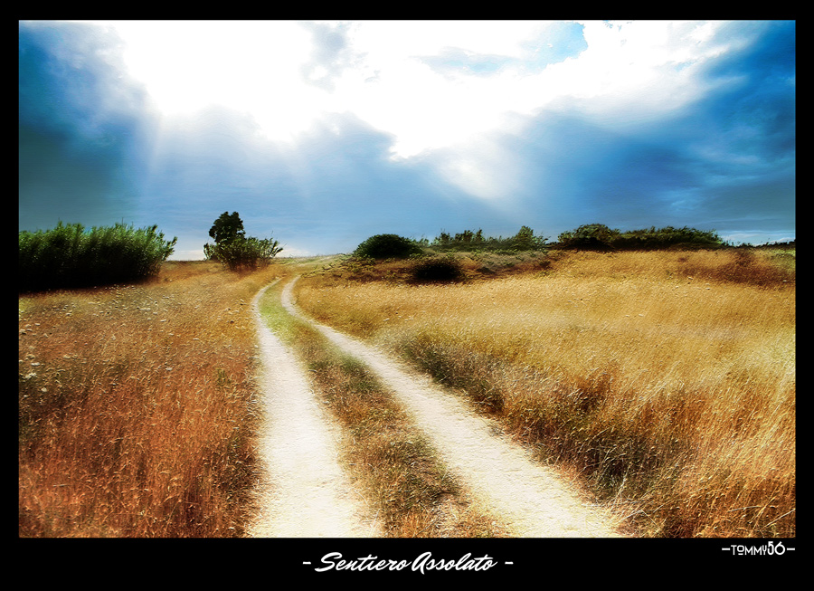 - Sentiero assolato -