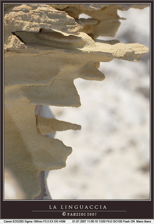 Una roccia maleducata che f� la....... LINGUACCIA!!