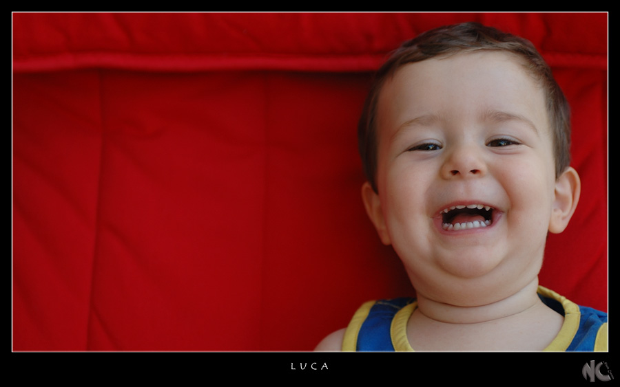 La simpatica canaglia