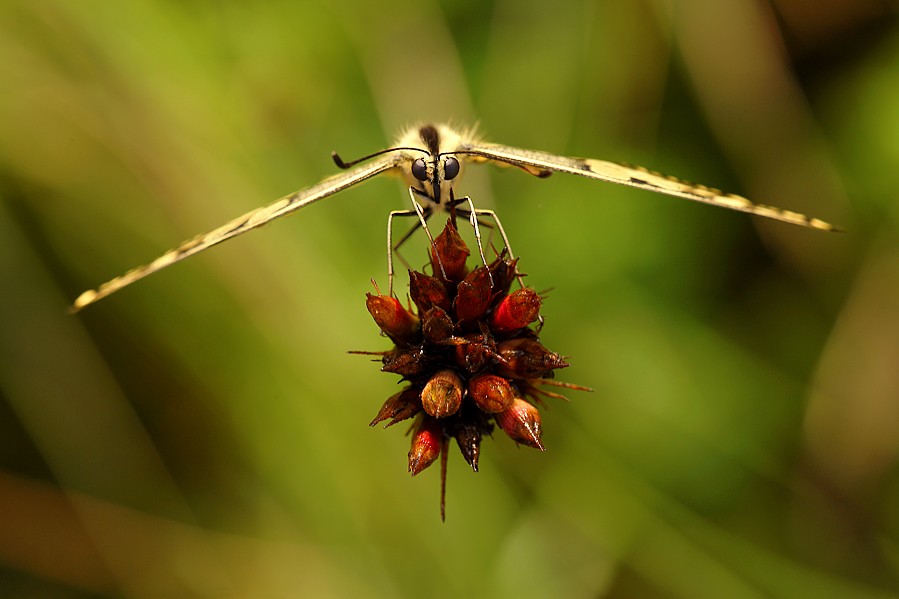 torre di controllo...huston...