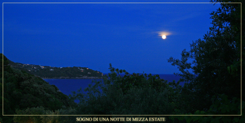 Sogno di una notte di mezza estate...