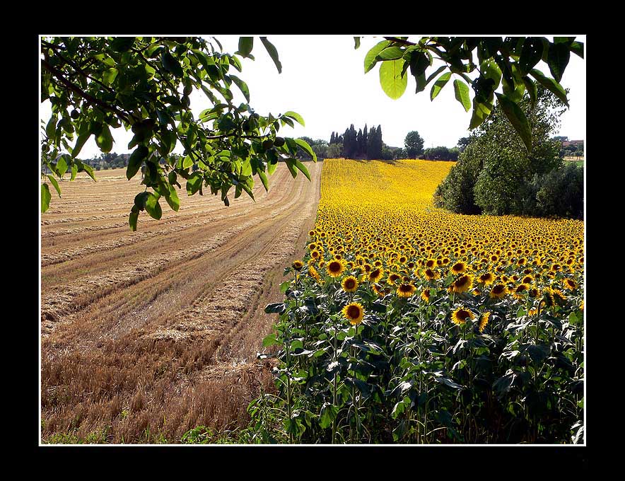 ..a te che sei in ciel..