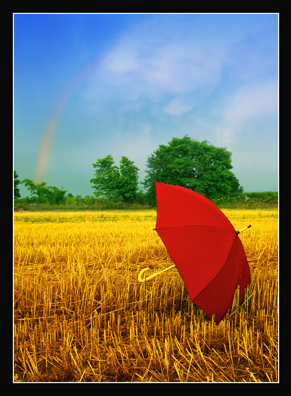 *Summer Colours*: riflessioni estive