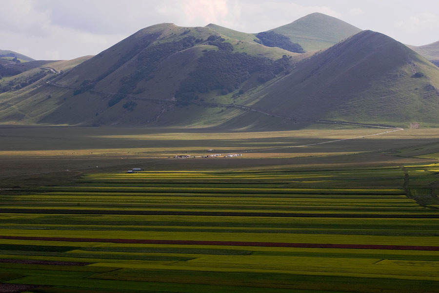 Piana-di-Castelluccio---NF5I3610
