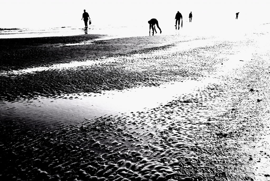 cercatori di conchiglie