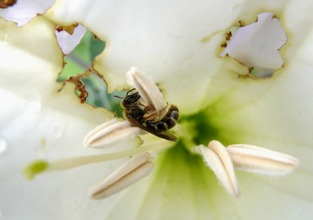 ...mon amour!2(vediamo se cos� va meglio)