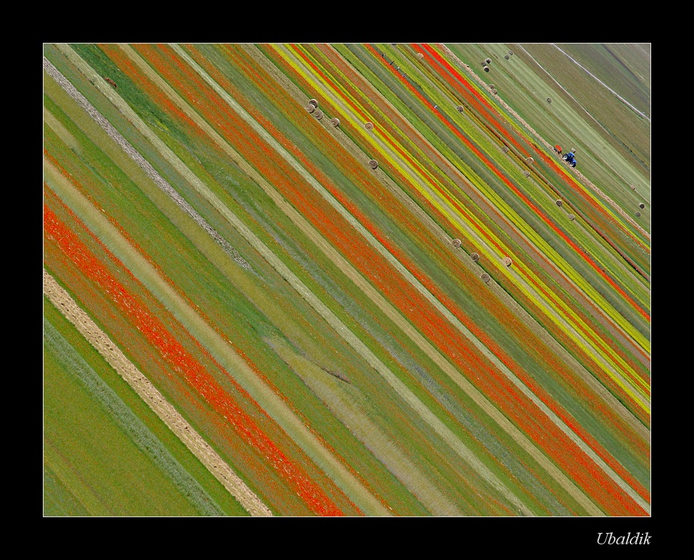 Castelluccio Missoniano