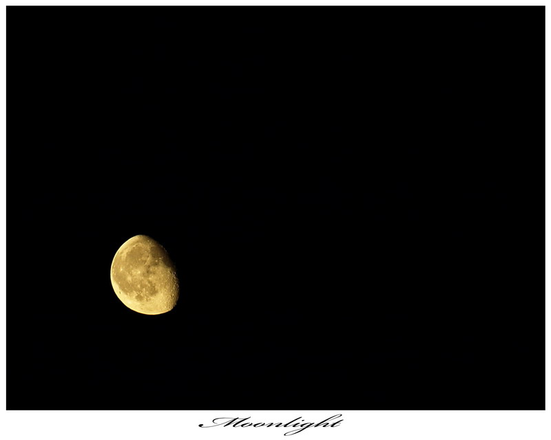 Moonlight