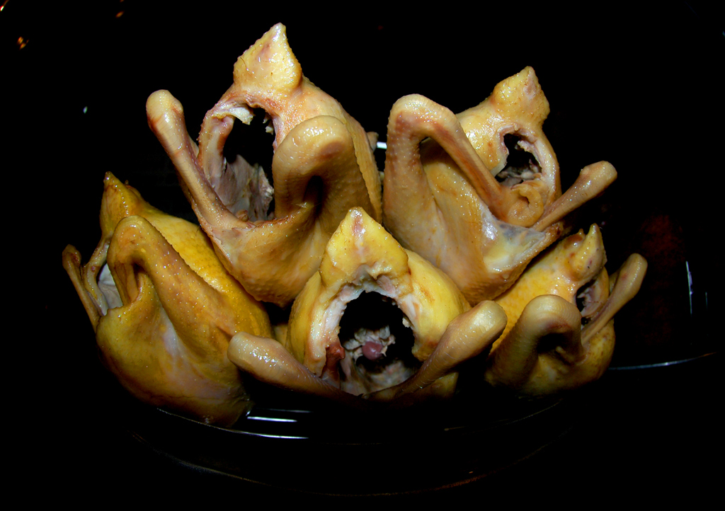 in culo all'evoluzione