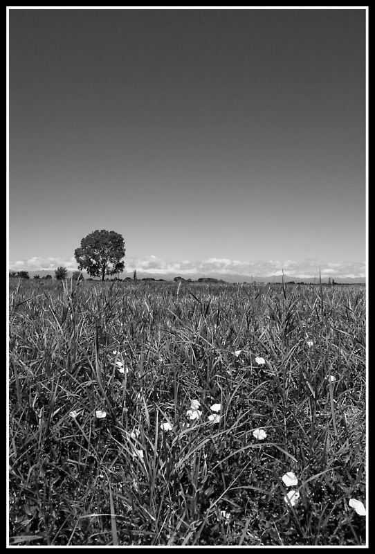 Separati dall'orizonte