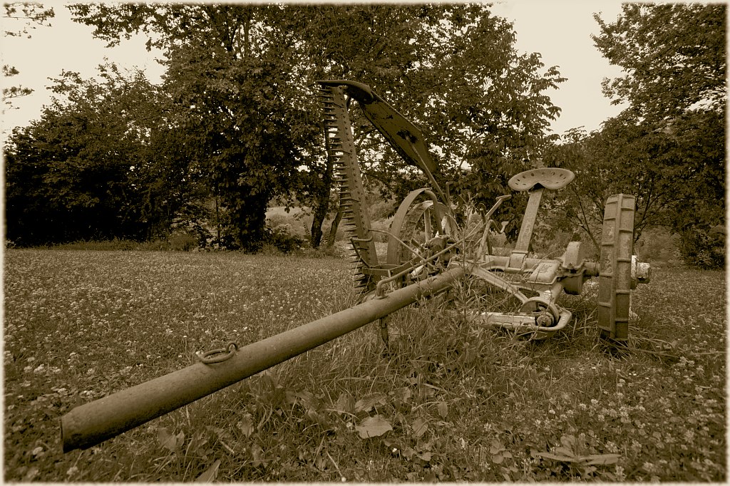 Perduto nei campi perduto nel tempo