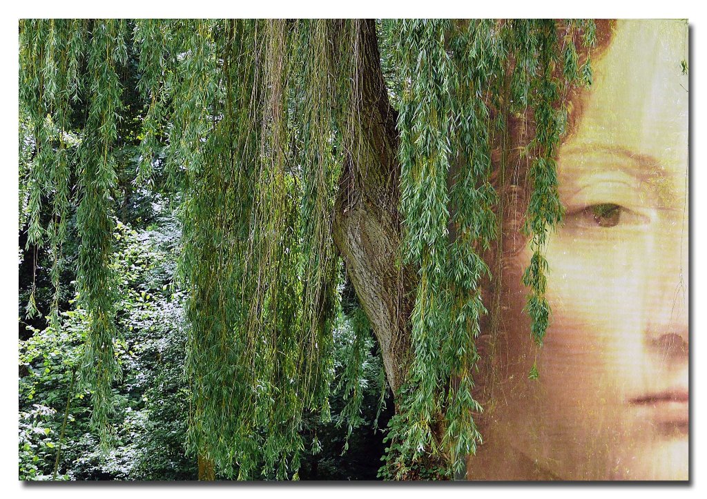 le meraviglie di Leonardo